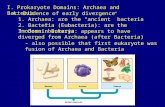 I. Prokaryote Domains: Archaea and Bacteria A. Evidence of early divergence 1. Archaea: are the “ancient” bacteria 2. Bacteria (Eubacteria): are the “modern”