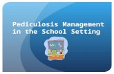 Pediculosis Management in the School Setting. Head Lice Facts Head lice (pediculosis capitus) are small parasitic insects that live on the scalp and neck.