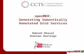OpenMDR: Generating Semantically Annotated Grid Services Rakesh Dhaval Shannon Hastings.