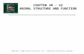 CHAPTER 40 - 42 ANIMAL STRUCTURE AND FUNCTION Copyright © 2002 Pearson Education, Inc., publishing as Benjamin Cummings.