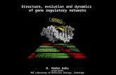 Structure, evolution and dynamics of gene regulatory networks Group Leader MRC Laboratory of Molecular Biology, Cambridge M. Madan Babu.