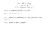 BSC 385 - Ecology Lecture 8 Water Relations - Chapter 5 Water movement in aquatic organisms Water movement in plants Water acquisition and utilization.