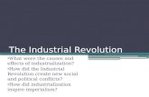 The Industrial Revolution What were the causes and effects of industrialization? How did the Industrial Revolution create new social and political conflicts?