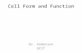 Cell Form and Function Dr. Anderson GCIT. Cell Diversity Connect tissues and transportation – blood, epithelia Body movement – muscles (smooth, striated,