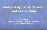 Analysis of Cross Section and Panel Data Yan Zhang School of Economics, Fudan University CCER, Fudan University.
