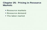 Chapter 25: Pricing in Resource Markets Resource markets Resource demand The labor market Resource markets Resource demand The labor market.