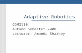 Adaptive Robotics COM2110 Autumn Semester 2008 Lecturer: Amanda Sharkey.