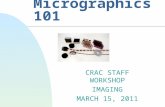 Micrographics 101 CRAC STAFF WORKSHOP IMAGING MARCH 15, 2011.