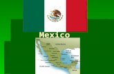 Mexico. Social Identity  Social/political cleavages: divisions that lead to differences in political behavior (voting, rebellion, etc.)  Race, class,
