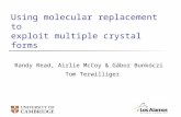 Using molecular replacement to exploit multiple crystal forms Randy Read, Airlie McCoy & Gábor Bunkóczi Tom Terwilliger.