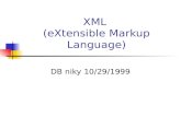 XML (eXtensible Markup Language) DB niky 10/29/1999.