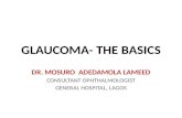 GLAUCOMA- THE BASICS DR. MOSURO ADEDAMOLA LAMEED CONSULTANT OPHTHALMOLOGIST GENERAL HOSPITAL, LAGOS.