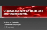 Clinical aspects of sickle cell and thalassaemia Dr.Beverley Robertson Consultant Haematologist NHS Grampian.
