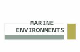 MARINE ENVIRONMENTS. CUES Marine Environments Sandy Coasts Rocky Coasts Estuaries Types Salt Marshes Mud Flats Mangrove Coral