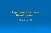 Reproduction and Development Chapter 26. Asexual Reproduction.