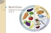 Nutrition Digestive System Day 5. Nutrition and Nutrients Nutrition: ◦ Study of nutrients and how the body utilizes them Nutrients: ◦ 6 Kinds ◦ Include:
