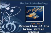 The brine shrimp, a small crustacean living in salt ponds, represents an excellent prey for old or large fry due to: Its nutritional value. Mobility in.