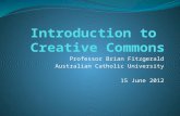 Professor Brian Fitzgerald Australian Catholic University 15 June 2012.