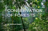 CONSERVATION OF FORESTS Dr Mahfuzul Haque. Issues for discussion  Types of Forests  Forestry Plans and Policies  National Forestry Policy 1994  Protected.