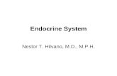Endocrine System Nestor T. Hilvano, M.D., M.P.H..