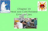 Chapter 19 Heat and Cold Related Emergencies. Body temperature 98.6 degrees Fahrenheit Body maintains this temperature by balancing heat loss with heat.