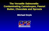 The Versatile Salmonella: Contaminating Cantaloupes, Peanut Butter, Chocolate and Sprouts Michael Doyle