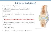 Joints (Articulations) Functions of joints Classifying Joints: Functional or Structural Naming Movements of Bones Around Joints Types of Joints Based on.