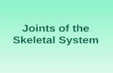 Joints of the Skeletal System. 2 Joints Functions Childbirth Movement Bone growth possible.