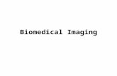 Biomedical Imaging. Outline Biomedical Imaging Images by various imaging modalities Fundamental concepts on imaging Image analysis by MATLAB: analysis,