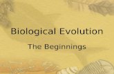Biological Evolution The Beginnings. Jean Baptiste Lamarck A French Biologist in the 1800’s.