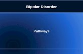 1 Bipolar Disorder Pathways 2 from Jamison KEY: H= Asylum or psychiatric hospital; S= Suicide; SA = Suicide Attempt Writers Hans Christian Andersen,
