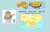 MURRAY DARLING BASIN INTRODUCTION TO ISSUES. MURRAY DARLING BASIN The Murray Darling Basin is the area of land that makes up the catchment of the River.