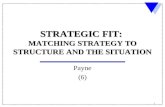 1 STRATEGIC FIT: MATCHING STRATEGY TO STRUCTURE AND THE SITUATION Payne (6)