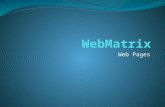 Web Pages. WebMatrix Microsoft WebMatrix is a free tool (stack) from Microsoft that developers can use to create, customize, and publish websites to the.