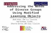 Addressing the Needs of Diverse Groups Using Modified Learning Objects Rebecca LeDocq, Jennifer Kosiak & Bob Hoar, UW-La Crosse, Hal Schlais, IIURL Sherrie.