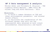 WP 5 Data management & analysis Michel Bohms and Philomena M. Bluyssen – TNO Isabella Annesi-Maesano - UMPC Paris 06 Aileen Yang and Alena Bartonova –