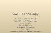 DNA Technology The Human Genome Project, Recombinant DNA Technology Gene Therapy Stem Cell Therapy Transgenic Organisms Cloning Gel Electrophoresis (DNA.
