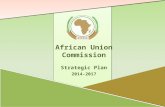 2014-2017 African Union Commission Strategic Plan.