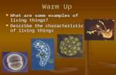 Warm Up What are some examples of living things? What are some examples of living things? Describe the characteristics of living things Describe the characteristics.