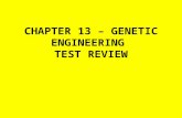 CHAPTER 13 – GENETIC ENGINEERING TEST REVIEW. What type of organisms have been produced by selective breeding? DOGS, CATS, HORSES.