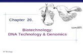 AP Biology Chapter 20. Biotechnology: DNA Technology & Genomics.