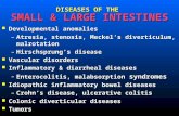 DISEASES OF THE SMALL & LARGE INTESTINES Developmental anomalies Developmental anomalies –Atresia, stenosis, Meckel ’ s diverticulum, malrotation –Hirschsprung.