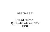 MBG-487 Real-Time Quantitative RT-PCR. Agarose EtBr Gel