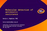Molecular detection of antibiotic resistance Katie L Hopkins PhD katie.hopkins@hpa.org.uk Laboratory of Gastrointestinal Pathogens HPA Microbiology Services.