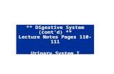 ** Digestive System (cont’d) ** Lecture Notes Pages 110-111 Urinary System I Lecture Notes Pages 122-140.