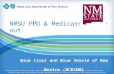 NMSU PPO & Medicare Carve-out Blue Cross and Blue Shield of New Mexico (BCBSNM) 1.