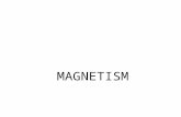 MAGNETISM. We can see magnetic field lines with the aid of a sprinkle of IRON FILINGS.