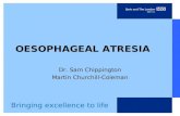 Bringing excellence to life OESOPHAGEAL ATRESIA Dr. Sam Chippington Martin Churchill-Coleman.