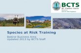 Species at Risk Training Babine Business Area Updated 2013 by BCTS Staff.