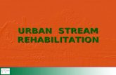 URBAN STREAM REHABILITATION. INTRODUCTION, OBJECTIVES & IMPACTS INTRODUCTION, OBJECTIVES & IMPACTS INTRODUCTION, OBJECTIVES & IMPACTS INTRODUCTION, OBJECTIVES.